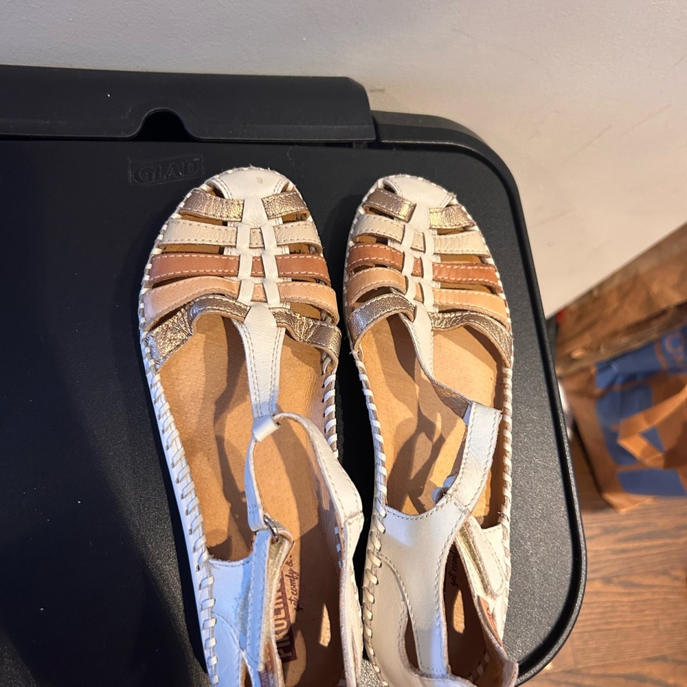 Elegant Women's Multi-Tone Sandals